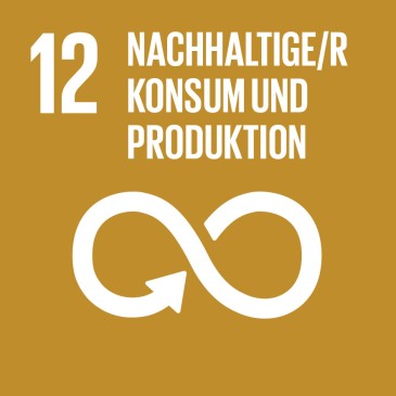 SDG 12 - nachhaltiger Konsum und Produktion 