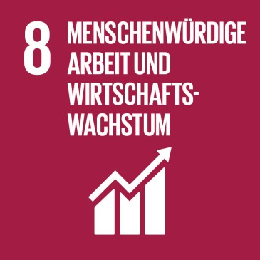 SDG 8 - menschenwürdige Arbeit und Wirtschaftswachstum 